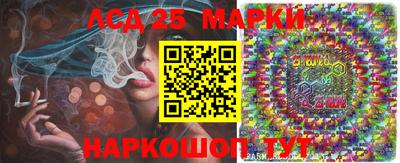 индика Брянск