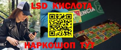индика Брянск