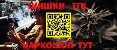 индика Брянск