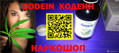 индика Брянск