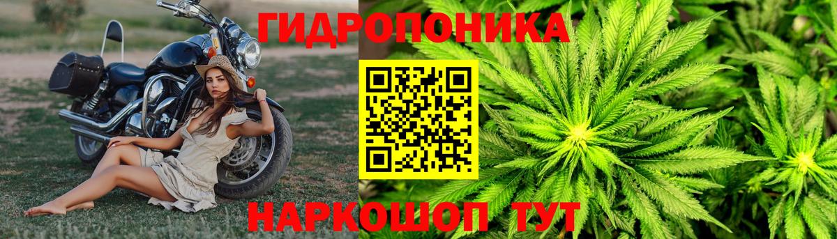 Бошки марихуана THC 21%  Марихуана SATIVA & INDICA  Вход с VPN  Каннабис семена  Богородск 